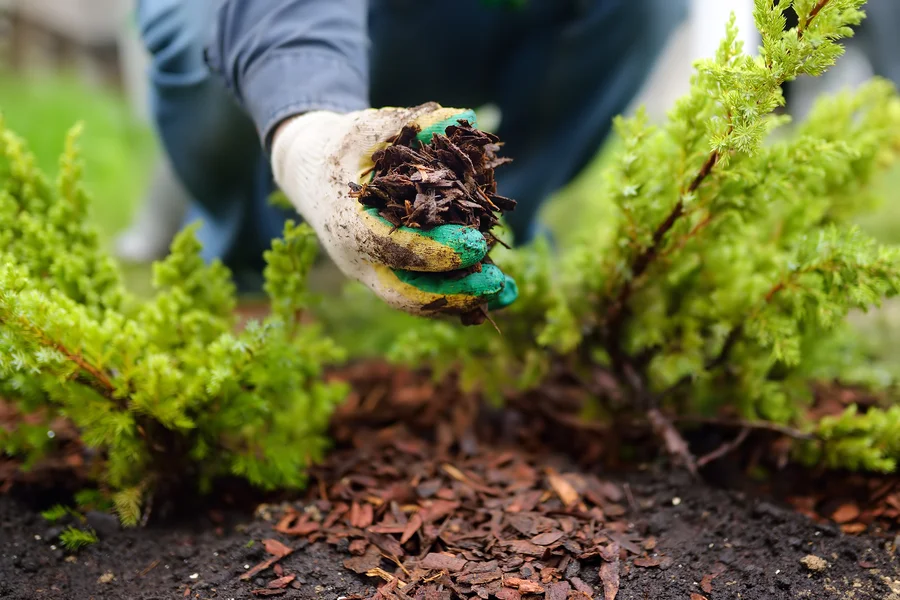 The Importance Of Mulch For Weed Control In Landscaping in Redwood City, CA
